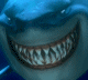 Avatar de Shark